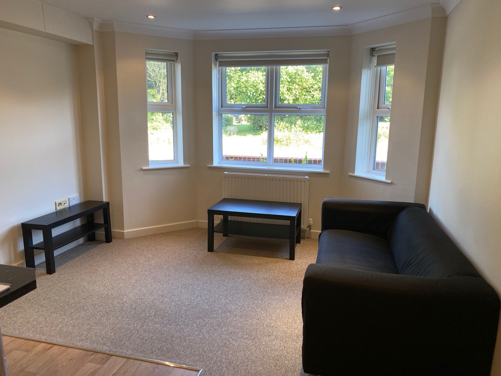 Living area, Flat 3 Conel Court
