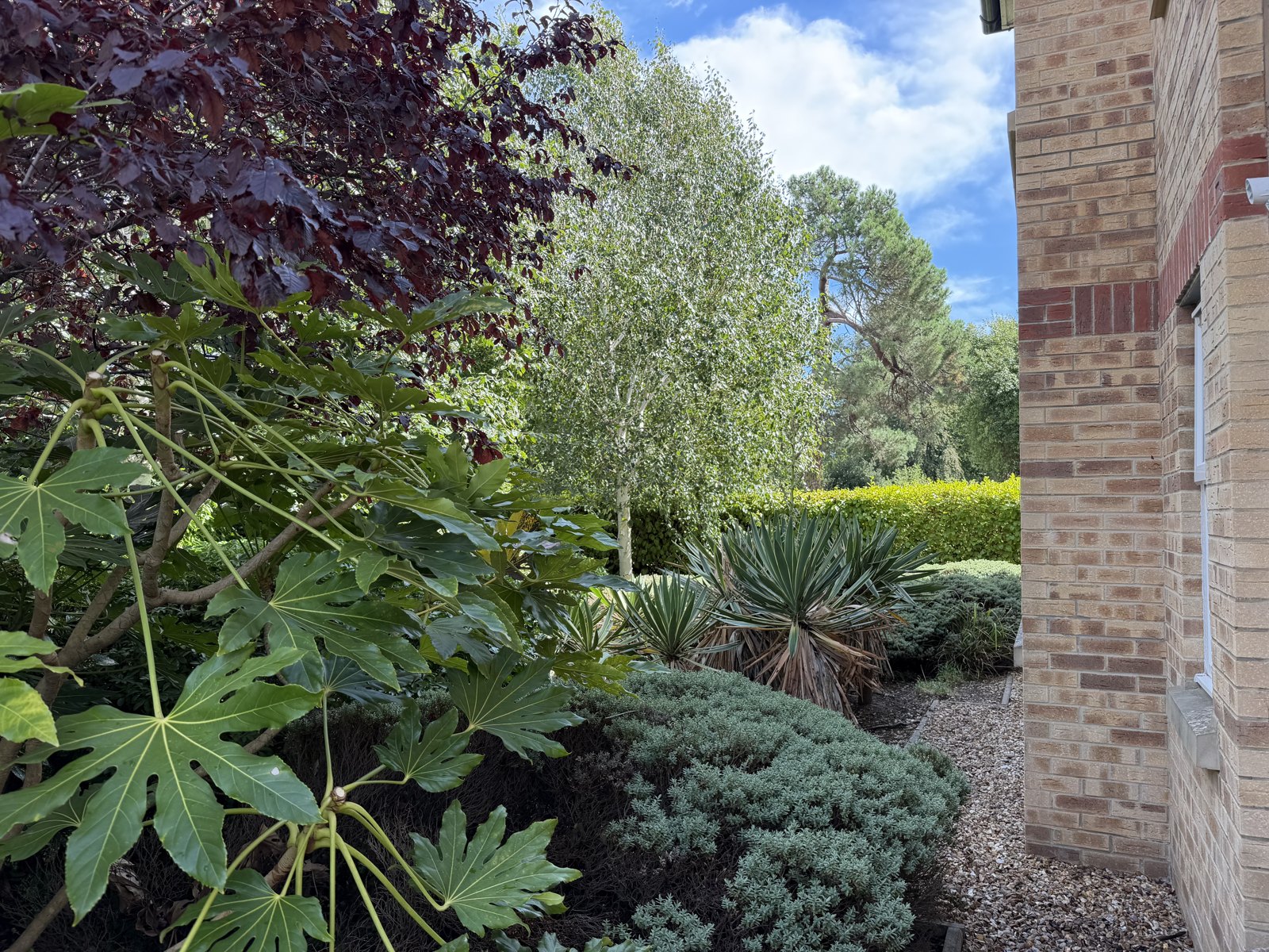 The garden at Conel Court, on the edge of Talbot Woods